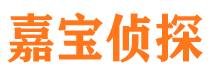 临湘市私家侦探